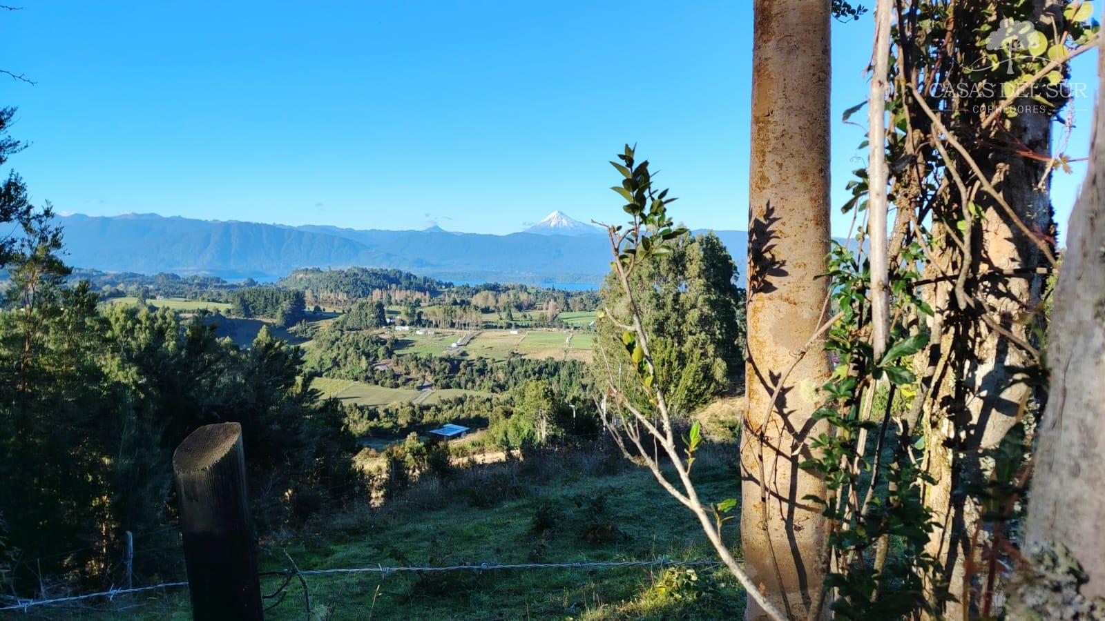 VISTA VOLCAN OSORNO, PUNTIAGUDO Y LAGO RUPANCO